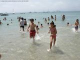 My Gallery (27/205)